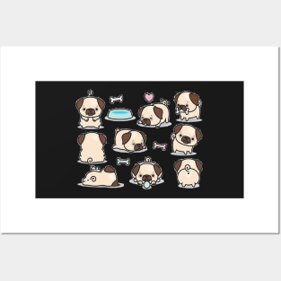 Cute little pugs 2 Posters and Art